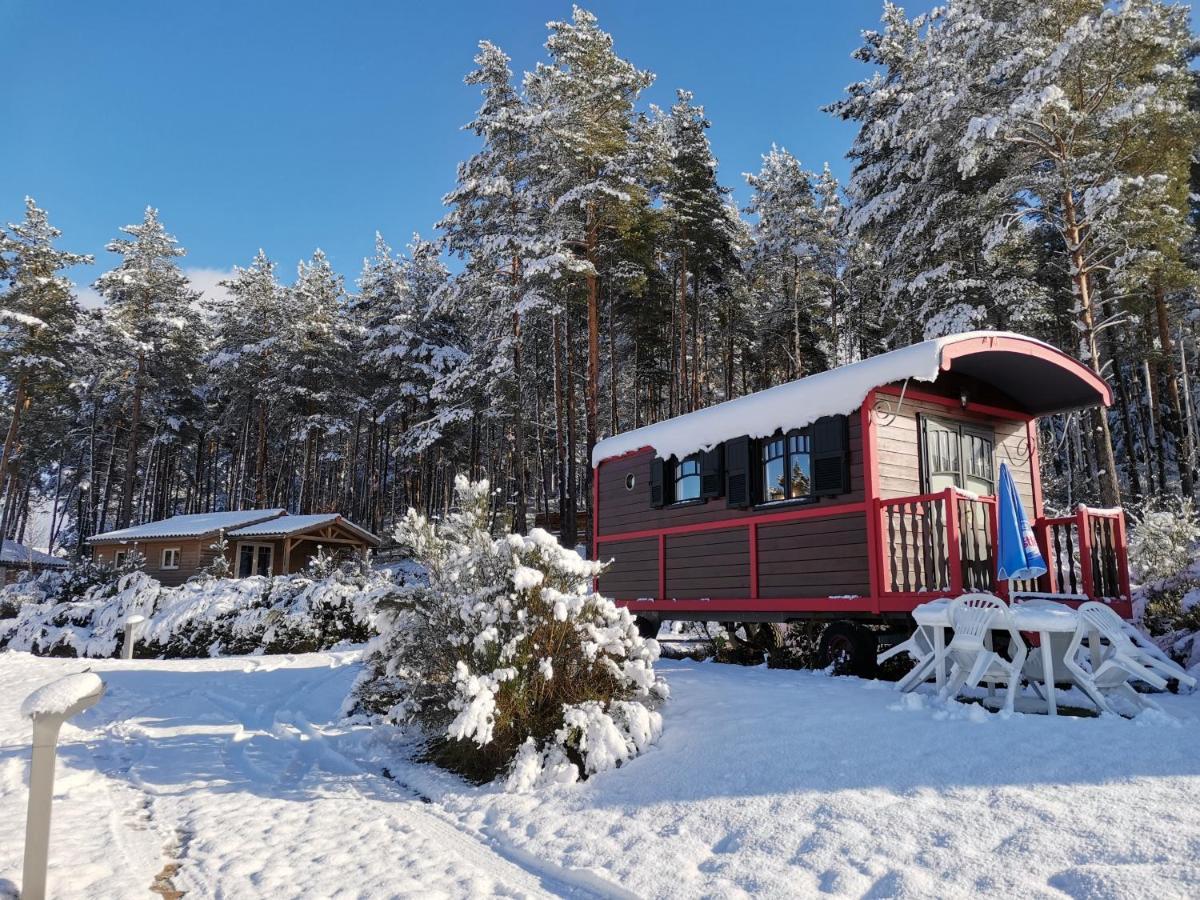 Les Chalets Du Haut-Forez Usson-en-Forez Εξωτερικό φωτογραφία