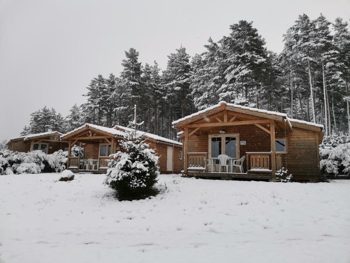 Les Chalets Du Haut-Forez Usson-en-Forez Εξωτερικό φωτογραφία