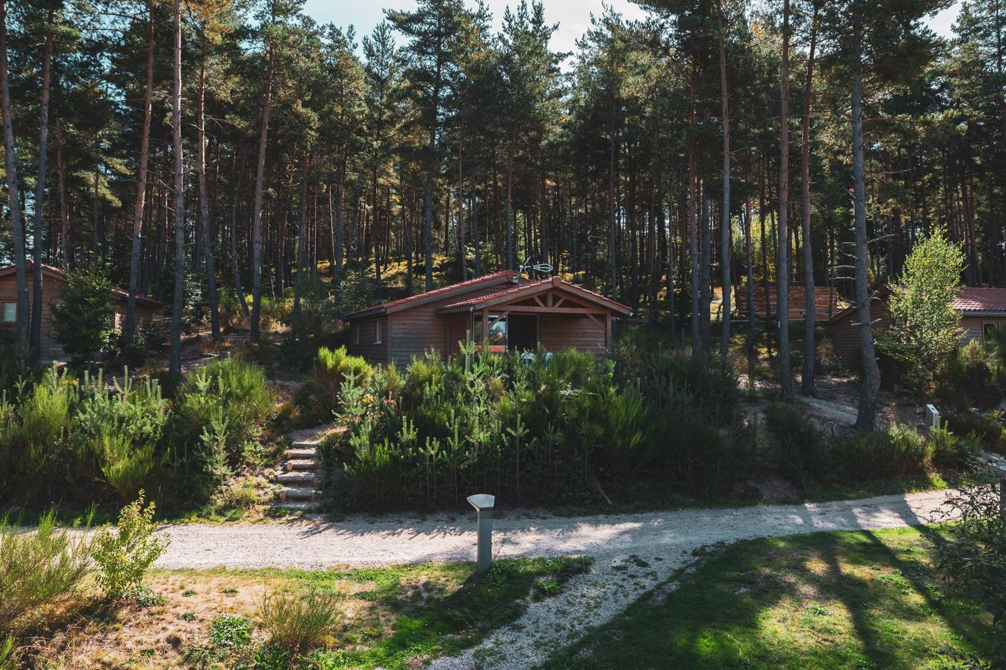 Les Chalets Du Haut-Forez Usson-en-Forez Εξωτερικό φωτογραφία