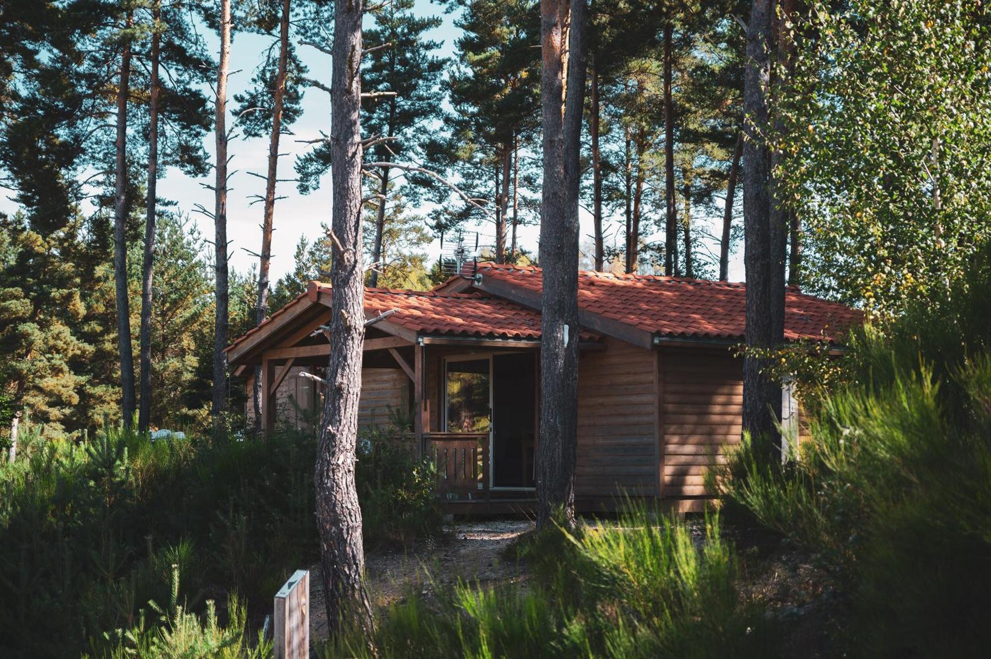 Les Chalets Du Haut-Forez Usson-en-Forez Εξωτερικό φωτογραφία