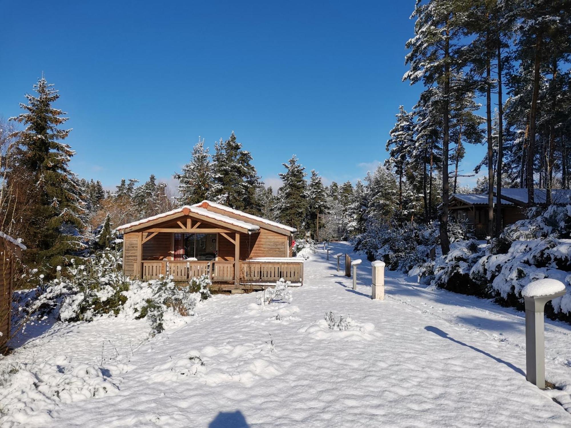Les Chalets Du Haut-Forez Usson-en-Forez Δωμάτιο φωτογραφία
